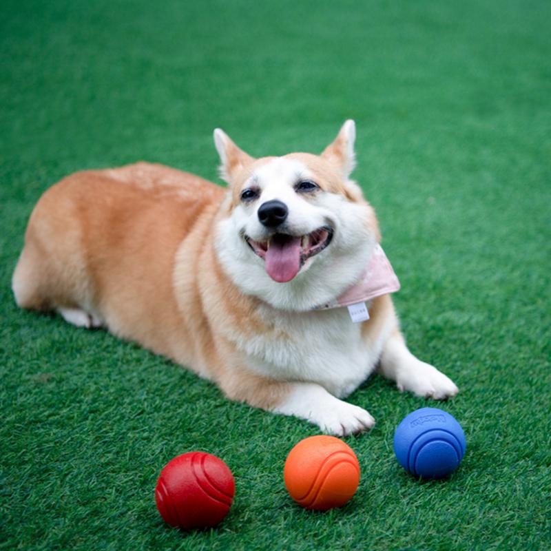 Bola de borracha para cachorro: escolha já a ideal